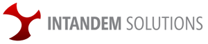 Intadnem Logo-1